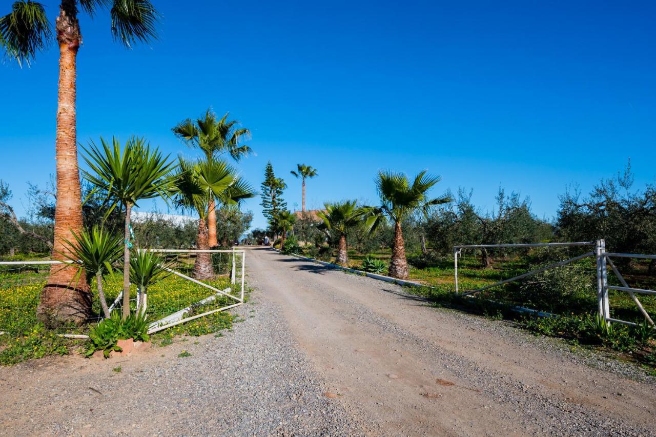 El Paraiso Del Olivar Villa Bollullos de la Mitación Exterior foto