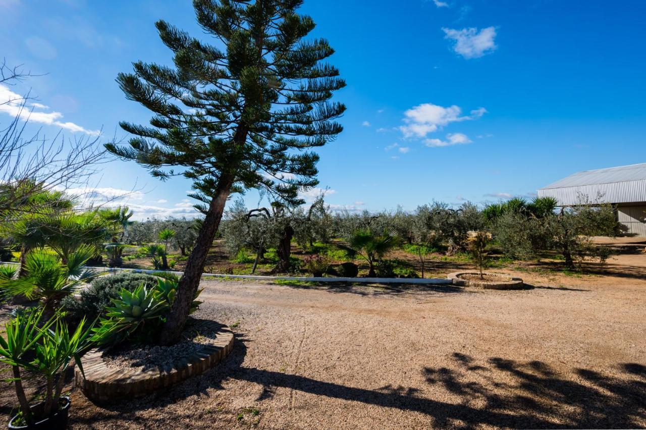 El Paraiso Del Olivar Villa Bollullos de la Mitación Exterior foto