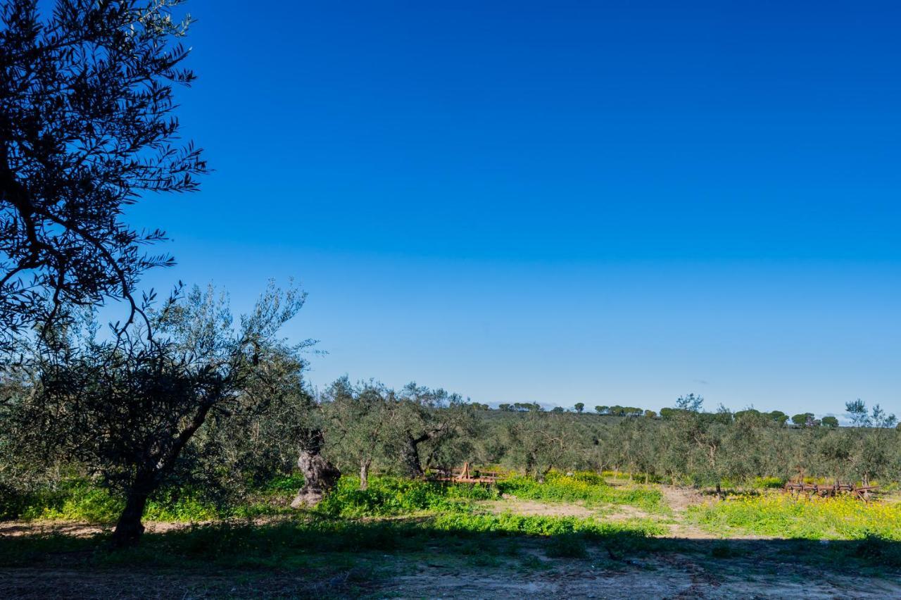 El Paraiso Del Olivar Villa Bollullos de la Mitación Exterior foto